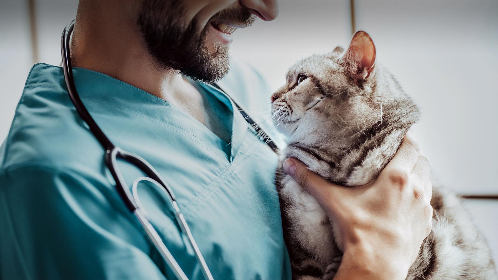 Yumurtalık Veteriner